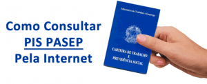 Consultar Pis Pasep Nit - Online, Site